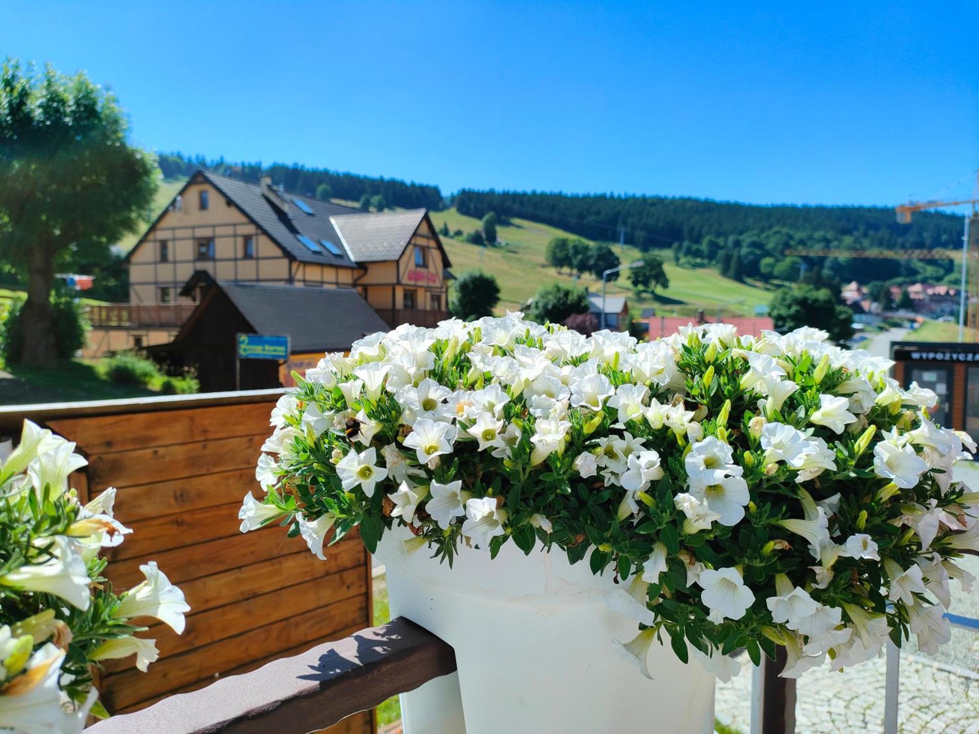 דוז'ניקי ז'דרוז' Ski&Spa Zieleniec מראה חיצוני תמונה